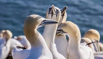 执教长春亚泰整一年 谢晖希望从平局再出发